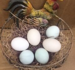 Assorted Bantam Hatching Eggs