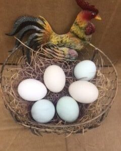Assorted Bantam Hatching Eggs