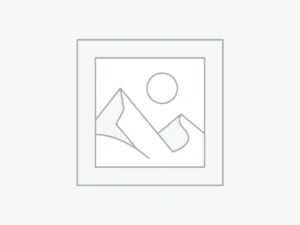 Brahma Female Chicken (Hen)